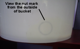 NutMarkOutside.jpg