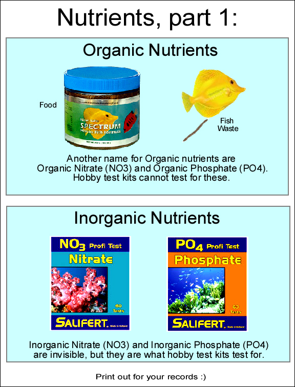 Nutrients1.jpg
