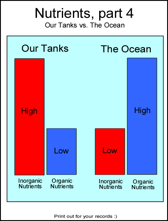 Nutrients4.jpg